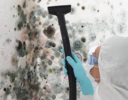 Best Commercial Mold Inspection  in Hauppauge, NY